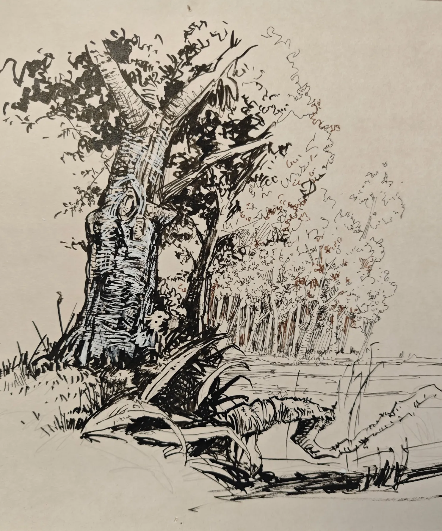 Paysage